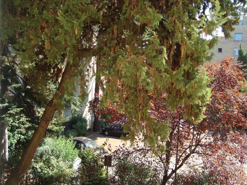 Villa Sciarra Roma Quarto foto